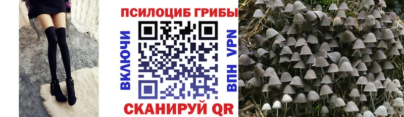 Псилоцибиновые грибы Magic Shrooms Ликино-Дулёво